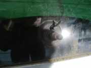 Wischermotor - Hinten Peugeot 807, 2002.06 - 2012.05 Gebraucht,