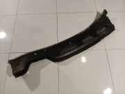 Windlauf Wischerabdeckung Ford C-MAX, 2003.01 - 2007.06 Gebraucht,