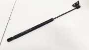 Gasdruckfeder Kofferraum Skoda Octavia, I 1996.09 - 2000.11 Gebraucht,