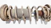 Fahrwerksfeder Hinterachse Seat Toledo, 1991.01 - 1999.04 Gebraucht,