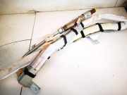 Kopfairbag - Vorne Linke Nissan Murano, Z50 2003.08 - 2008.06 Gebraucht,