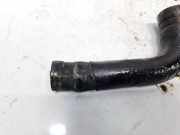 K?hlerschlauch Lancia Lybra, I 1999.01 - 2005.12 Gebraucht,