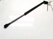 Gasdruckfeder Kofferraum Toyota Corolla Verso, III 2004.05 - 2007 689600f010,68960-0f010