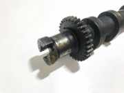 Nockenwelle Toyota Avensis Verso, 2001.08 - 2009.11 Gebraucht,