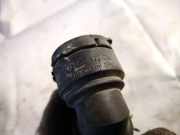 Kühlerschlauch Volkswagen Polo, IV 2001.09 - 2005.04 1c0122291, AMF