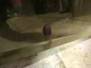 Waschwasserd?se Scheibenreinigung Toyota Corolla Verso, III 2004.05 - 2007 Gebraucht,