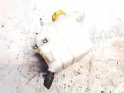 Ausgleichsbehälter Chevrolet Captiva, 2006.01 - 2011.06 96837836,