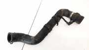 Intercooler Schlauch Volkswagen Phaeton, 2002.04 - 2006 Gebraucht , BMK