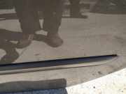 Zierleiste Tür Zier-Schutzleiste - Hinten Linke Renault Laguna, III 2007.10 - 2010.11 Gebraucht,