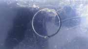 Abdeckung Abschlepphaken - Hinten Ford Mondeo, 2000.11 - 2007.03 Gebraucht,