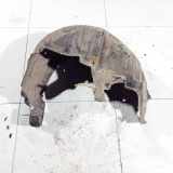 Radhausschale - Hinten Rechts Subaru Legacy, BL, BP 2003.09 - 2009.12 59122ag000,