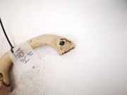 Haltegriff Haltegriff Verdeckgriff - Vorne Linke Volkswagen Touran, 2003.01 - 2006.10 6n0857607ab, BKD