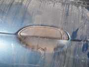 T?rgriff T?raussengriff - Hinten Linke Renault Scenic, I 1996.01 - 1999.09 Gebraucht,