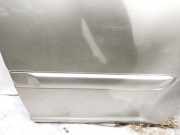 Zierleiste Tür Zier-Schutzleiste - Hinten Linke Nissan X-Trail, 2001.06 - 2007.06 Gebraucht,
