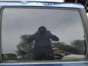 Seitenscheibe - Hinten Linke Volkswagen Sharan, 7M 1995.09 - 2000.04 Gebraucht, afn