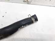 Kühlerschlauch Nissan Primera, P12 2002.01 - 2008.12 21501BN305,