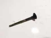 Auslassventil Volkswagen Polo, IV 2005.04 - 2009.11 facelift Gebraucht,