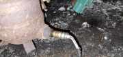 Lambdasonde Nissan Primera, P12 2002.01 - 2008.12 Gebraucht,