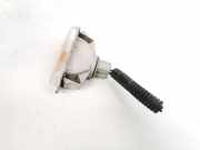 Blinkleuchte Kotfl?gel - Vorne Rechts Nissan Qashqai, I 2006.01 - 2010.06 Gebraucht,