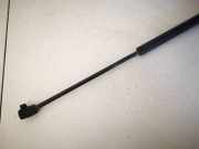 Gasdruckfeder Kofferraum Renault Scenic, II 2003.06 - 2006.06 Gebraucht,