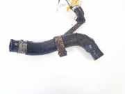 Kühlerschlauch Nissan Primera, P12 2002.01 - 2008.12 Gebraucht,