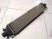 Ladeluftkühler Fiat Bravo, 2006.11 - 2014 Gebraucht,