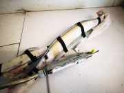 Kopfairbag - Vorne Linke Nissan Murano, Z50 2003.08 - 2008.06 Gebraucht,