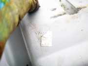 Zierleiste Dodge Caliber, 2006.08 - 2009.01 0yd75trm, 11006b