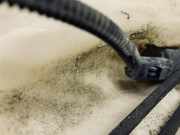 Waschwasserpumpe Scheibenreinigung Renault Espace, IV 2002.11 - 2014.12 Gebraucht,