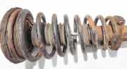 Fahrwerksfeder vorne Nissan Primera, P10 1990.06 - 1996.06 Gebraucht,