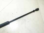 Gasfeder für Motorhaube Kia Sorento, I 2002.01 - 2009.06 0599vz0290n,