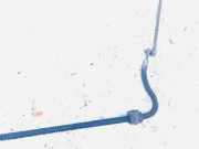 Stabilisator Vorne Citroen C4 Grand Picasso, I 2006.01 - 2013.06 Gebraucht,