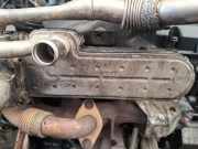 Abgaskühler AGR-Kühler Volkswagen Golf, IV 1997.08 - 2003.10 038131513d, AXR