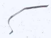 Halteband Kraftstoffbehälter Volkswagen New Beetle, I 1997.01 - 2005.06 Gebraucht,