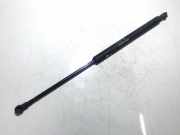 Gasfeder für Motorhaube Alfa-Romeo 166 1998.09 - 2003.10 60658924,