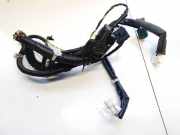 Kabelbaum Nissan Leaf, I 2010 - 2017.12 241253nm0b,