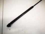 Gasfeder für Motorhaube Volkswagen Bora, 1998.01 - 2005.12 1j0823359, ALH