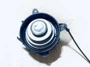 Lüftungsgitter Armaturenbrett Citroen C3, I 2002.02 - 2005.06 18m6219,8362
