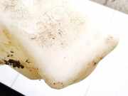 Scheibenwaschbehälter Vorne Wischwasserbehälter Citroen C2, I 2003.09 - 2006.06 9642546080, 964254608002