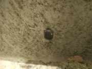 Waschwasserdüse Scheibenreinigung Kia Sorento, I 2002.01 - 2009.06 Gebraucht,