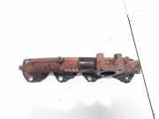 Abgaskrümmer Peugeot 4007 2007 - 2012 6G9Q9431BA,6G9Q-9431-BA 9684114180
