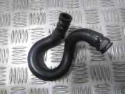 K?hlerschlauch Renault Laguna, I 1994.01 - 2001.03 Gebraucht,