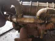 Abgaskühler AGR-Kühler Citroen Berlingo, I 1996.07 - 2002.11 9634565480,861060q