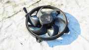 Kühlerlüfter Lüftermotor Peugeot 307, 2000.08 - 2005.06 Gebraucht,