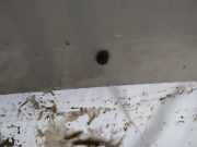 Waschwasserdüse Scheibenreinigung Mazda 323F, 1998.09 - 2004.05 Gebraucht,