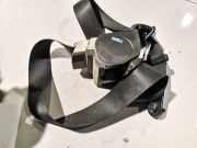 Sicherheitsgurt - Hinten CENTER Ford Transit, III 2006.04 - 2012.12 facelift Gebraucht,