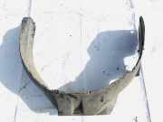 Radhausschale - Vorne Linke Audi 80, B3 1986.06 - 1991.09 893821171,