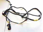 Kabelbaum Tesla Model Y, 2020 --> 248905901a,2489059-01-a