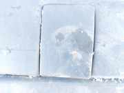 Abdeckung Abschlepphaken - Hinten Peugeot Expert, 1995.12 - 2007.01 Gebraucht,