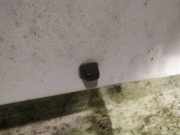 Waschwasserdüse Scheibenreinigung Fiat scudo 1997 - 2007 Gebraucht,